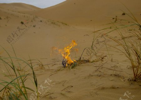沙漠中的野火图片