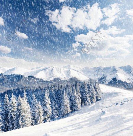 山峰树林下雪美景图片