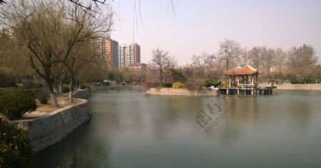 公园湖心亭图片