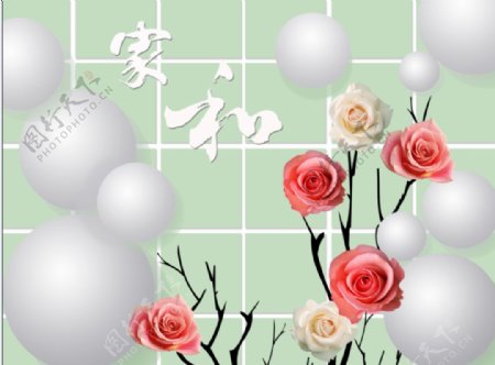现代浪漫家和玫瑰花背景墙图片