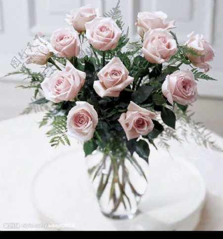 花瓶里的浅粉色玫瑰图片