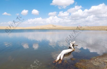 青海湖沙岛图片