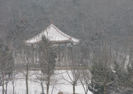 雪夜观山图片