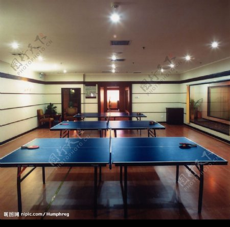 乒乓球室图片