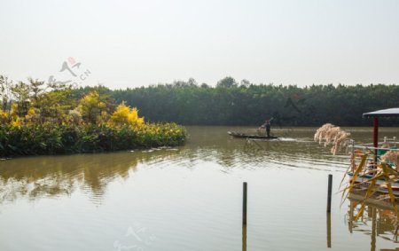 南沙湿地公园图片