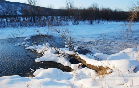 不冻河冬天的横道木图片