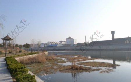 安徽亳州涡河图片
