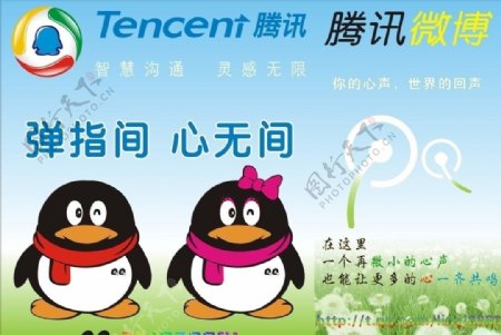 腾讯QQ企鹅标志微博图片