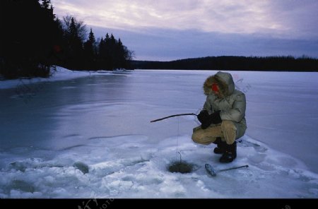 雪地钓鱼图片