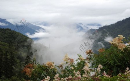 川藏风景图片