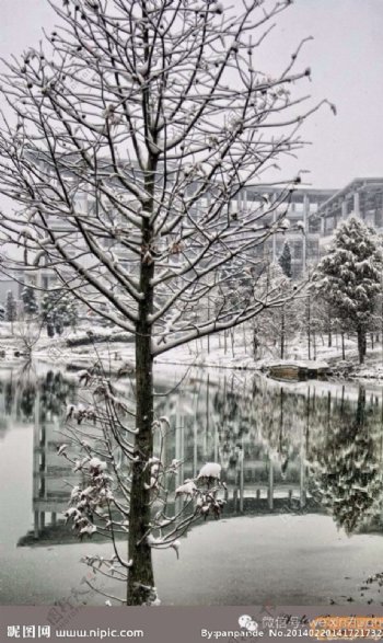 农林大学雪景图片