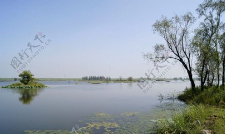 辽河湿地图片