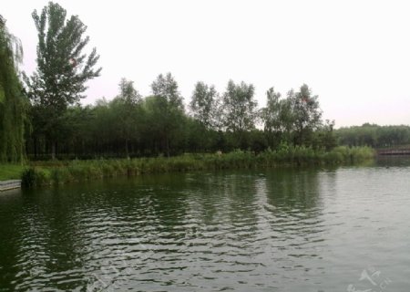 念坛公园的湖图片