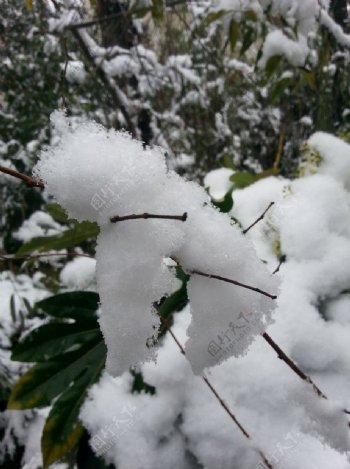 昆明雪景图片