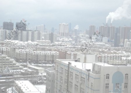 雪后青岛远眺图片