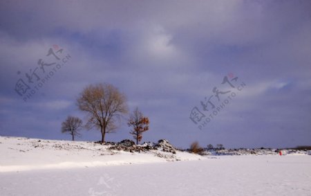 冬景尼尔基图片