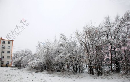 根河住宅楼前雪景图片