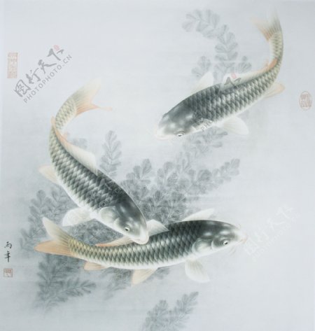 路雨年工笔鱼类选集图片