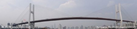 南浦大桥图片