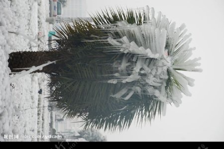 冰雪图片