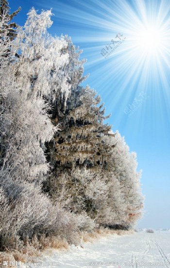 高清雪景图片