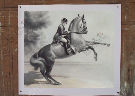 骑在马背上的骑手图片