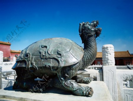 北京故宫紫禁城雄石龟图片