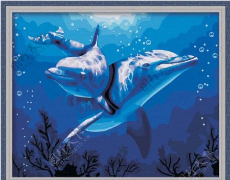 海豚之恋数字油画图片