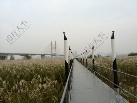 武汉江滩美景铁桥图片
