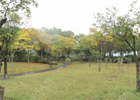秋天日湖公园图片