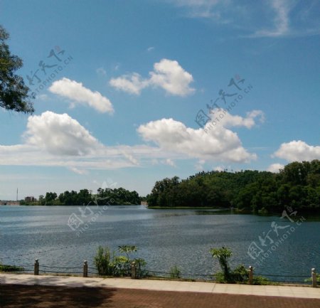 鸳鸯湖景图片