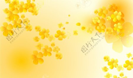 金色小花朵图片