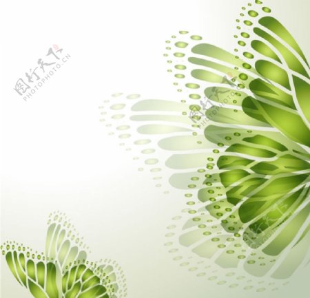 绿蝴蝶素材图片