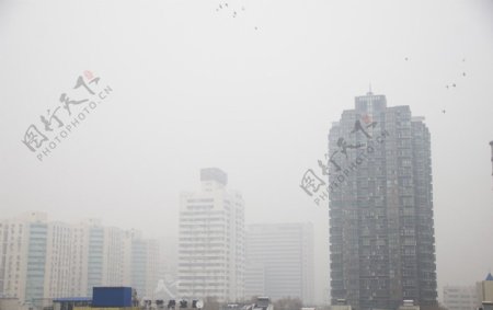 城市雾霾天气图片