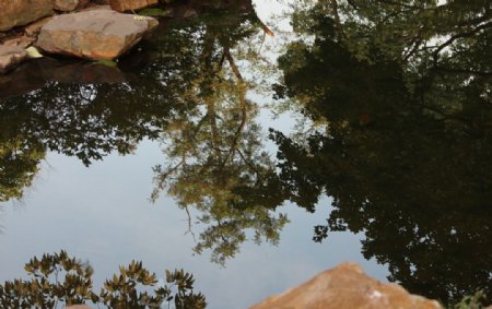 岳麓书院池塘倒影图片