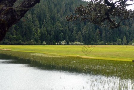 香格里拉风景图片