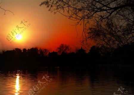 湖畔的夕阳金辉图片