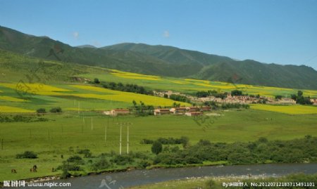 高原牧村图片