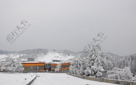 仙女山雪景图片