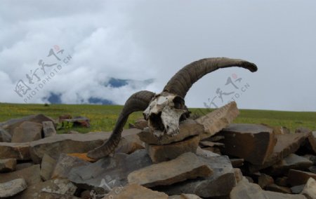 西藏骑行风景图片