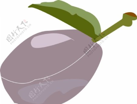 酸梅水果CDR矢量图图片