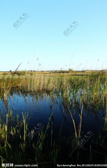 布尔津湿地图片