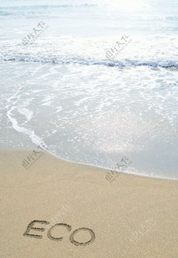沙滩海滩eco环保标志图片
