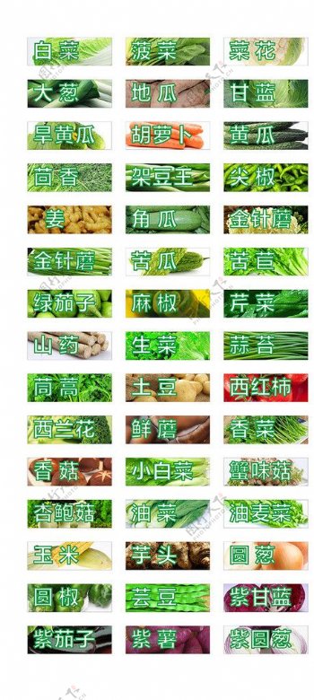 超市蔬菜标签图片