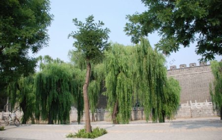 曲阜城墙外景图片