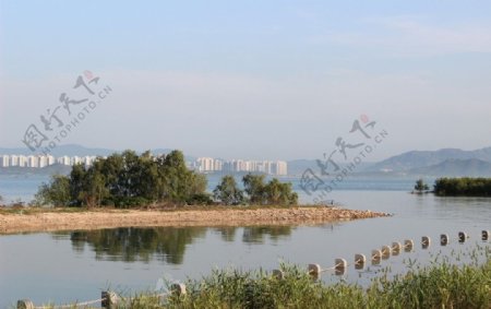 深圳湾海边图片