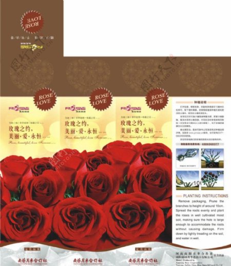 玫瑰包装设计图片