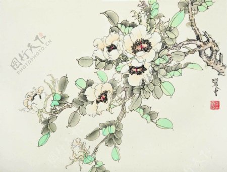 王道中国画花卉图片