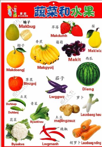 壮汉双语挂图水果篇图片