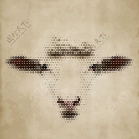 绵羊羊头图片